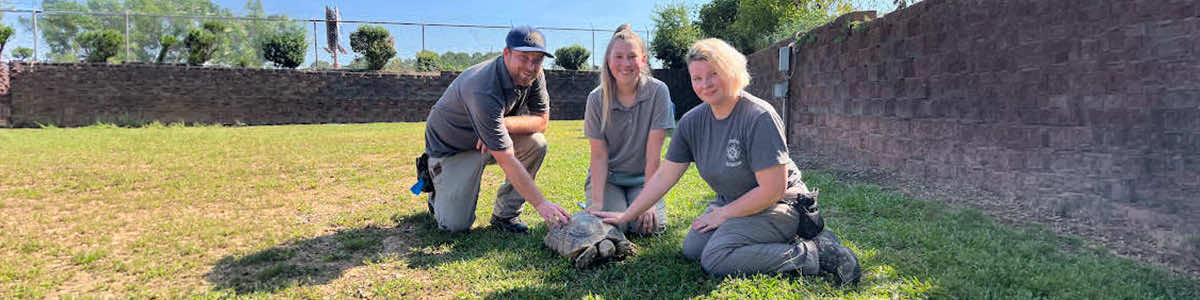 Services at Bryant Animal Control
