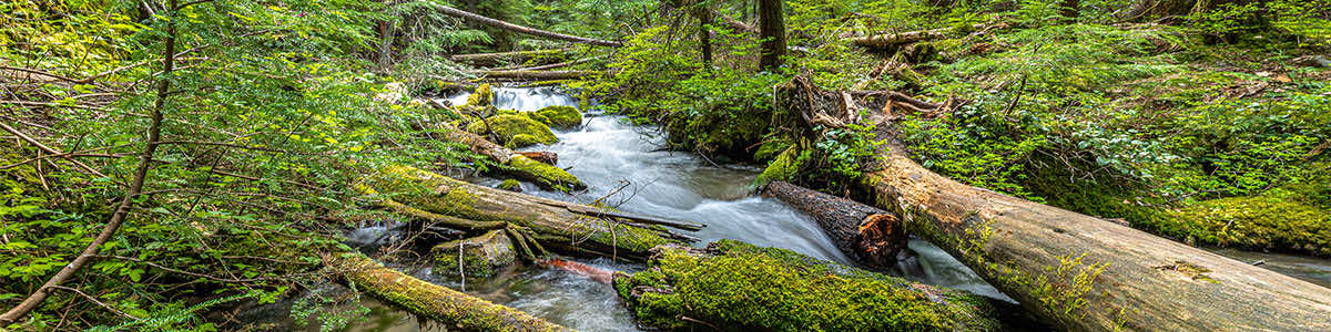What is a Watershed?