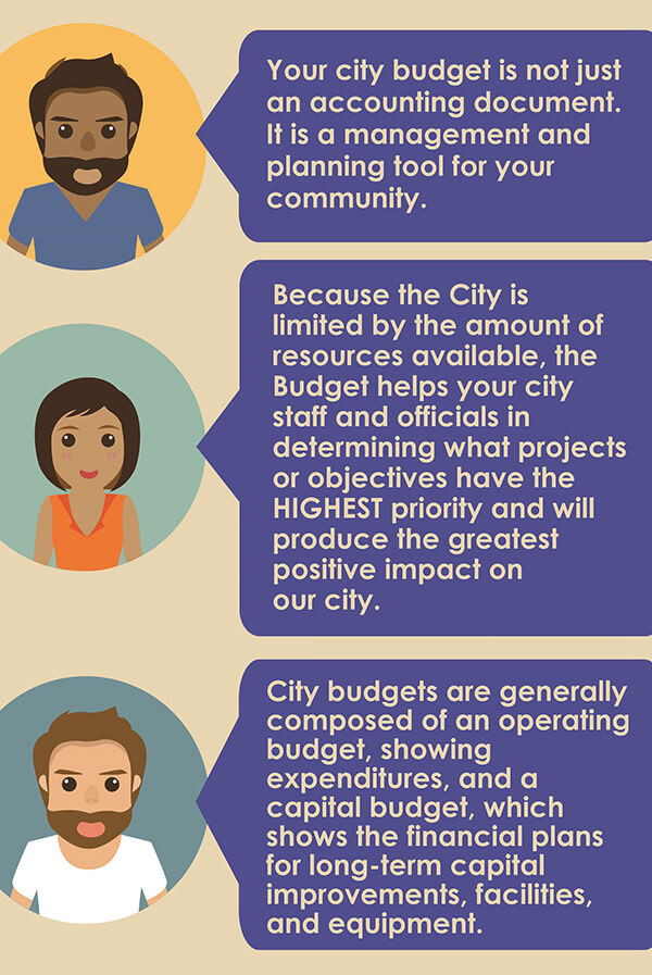 budget infographic 1